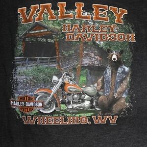 Harley-Davidson Valley Graphic Tee - Black and Orange